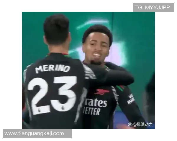 意甲赛场惊现冷门阿森纳与利物浦战平引发全场热议